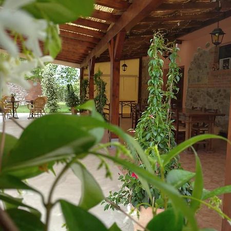Agriturismo Il Selvello Le Versegge Esterno foto