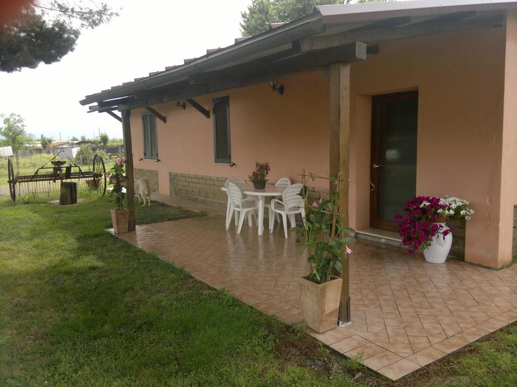 Agriturismo Il Selvello Le Versegge Esterno foto