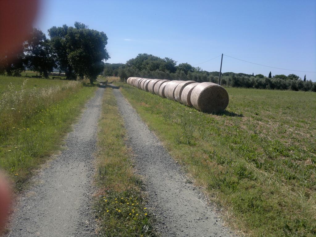 Agriturismo Il Selvello Le Versegge Esterno foto
