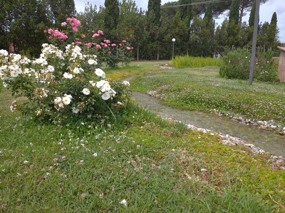 Agriturismo Il Selvello Le Versegge Esterno foto