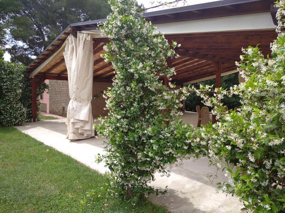 Agriturismo Il Selvello Le Versegge Esterno foto